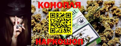 шишки Пушкино