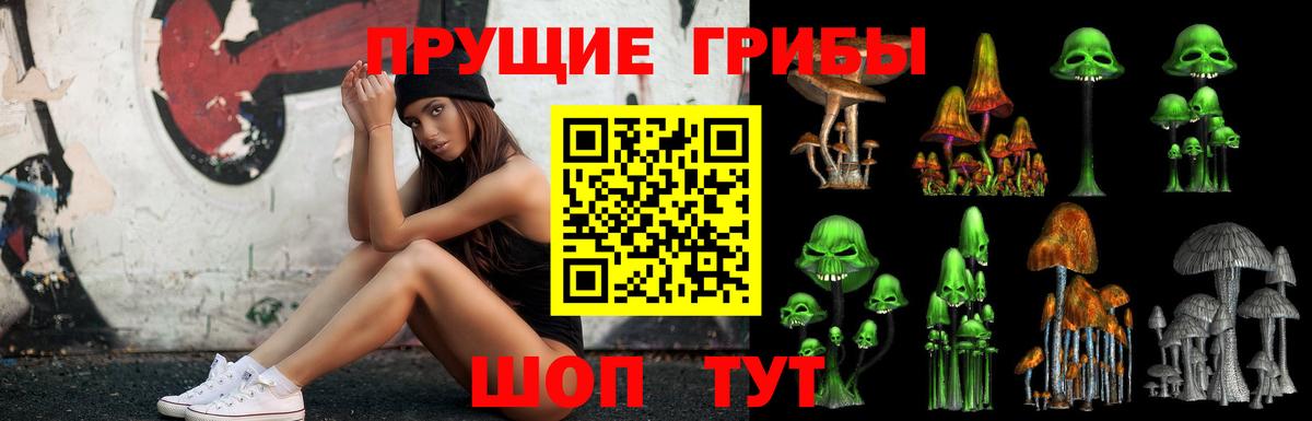 Соль-Илецк  Галлюциногенные грибы Psilocybe  где найти наркотики  Вход с VPN 